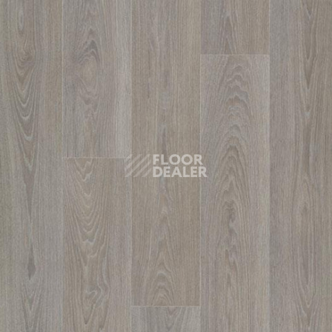 Линолеум Forbo Eternal Wood 13952 greywashed timber фото 1 | FLOORDEALER